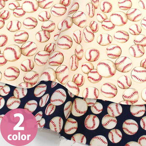 n An USAn A 싅{[ ALT_[w[ ŏIבe (ŒP30cm`10cmPʂ̐؂蔄)