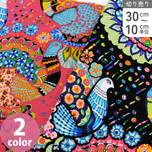 n An USAn A GXjbN NWN ALT_[w[ ŏIבe (ŒP30cm`10cmPʂ̐؂蔄)