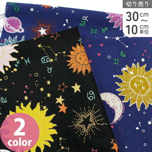 n An USAn A zƌ zn F V ALT_[w[ ŏIבe (ŒP30cm`10cmPʂ̐؂蔄)