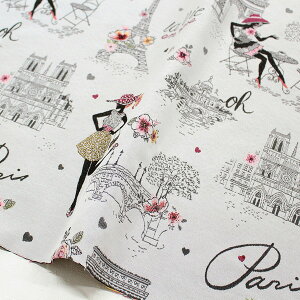 An n TtFR WK[hn ̎q l Jacquard WK[h n SAFECO from france 140cm (ŒP30cm`10cmPʂ̐ؔ)