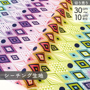 n An USAvgnFree Spirit `EsN JtЂ` Of[V USAvgn Ж110cm