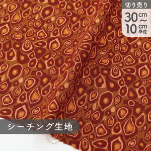 n An USAvgnFree Spirit i^[e I^[h ۃp^[ uE USAvgn Ж110cm