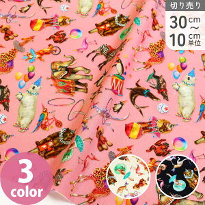 n An vgn USAvg T[JXAj} Michael Miller }CP~[ Ж110cm (ŒP30cm`10cmPʂ̐ؔ)