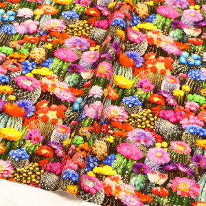 n An USAvgn Jt T{et[ A h T{e TimeLess Treasures ^CXgW[ STELLA Xe Ж110cm (ŒP30cm`10cmPʂ̐؂蔄)