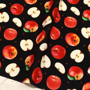 n An USAvgn S t[c ubNn  TimeLess Treasures ^CXgW[ STELLA Xe Ж110cm (ŒP30cm`10cmPʂ̐؂蔄)