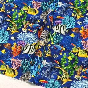 n An USAvgn C̒̋ ȕ  Jt A TimeLess Treasures ^CXgW[ STELLA Xe Ж110cm (ŒP30cm`10cmPʂ̐؂蔄)