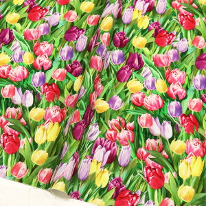 n An USAvgn Jt`[bv ԕ A `[bv TimeLess Treasures ^CXgW[ STELLA Xe Ж110cm (ŒP30cm`10cmPʂ̐؂蔄)