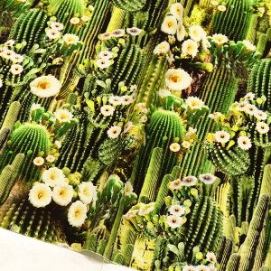 n An USAvgn T{et[ O[ A TimeLess Treasures ^CXgW[ STELLA Xe Ж110cm (ŒP30cm`10cmPʂ̐؂蔄)