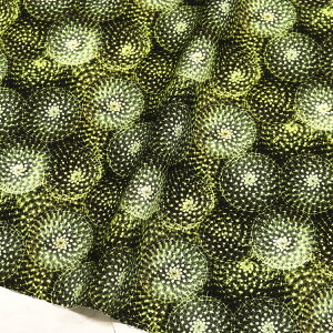 n An USAvgn ォ猩T{e T{e A TimeLess Treasures ^CXgW[ STELLA Xe Ж110cm (ŒP30cm`10cmPʂ̐؂蔄)