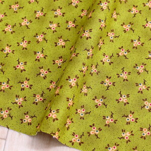 An n O[n tςƉʎ Free Sprit t[Xsbg USAvg@(ŒP30cm`10cmPʂ̐ؔ)