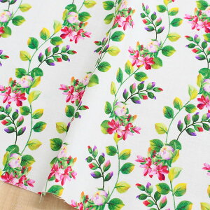 An n zCgn sNt[ Free Sprit t[Xsbg USAvg@(ŒP30cm`10cmPʂ̐ؔ)