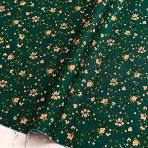 An n fB[vO[n IWt[ Free Sprit t[Xsbg USAvg@(ŒP30cm`10cmPʂ̐ؔ)