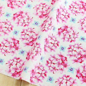 An n zCgn sNt[{[ Free Sprit t[Xsbg USAvg@(ŒP30cm`10cmPʂ̐ؔ)