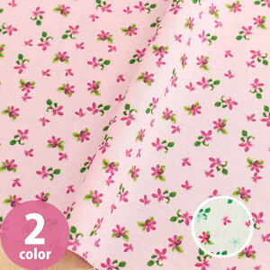 An n X[t[ Free Sprit t[Xsbg USAvg@(ŒP30cm`10cmPʂ̐ؔ)