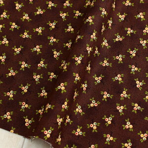 An n uEn tςƉʎ Free Sprit t[Xsbg USAvg@(ŒP30cm`10cmPʂ̐ؔ)