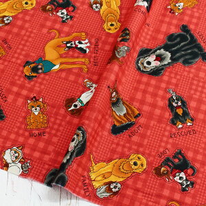 An n bhn hbOLbg Free Sprit t[Xsbg USAvg@(ŒP30cm`10cmPʂ̐ؔ)