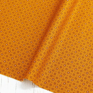 An n }X^[hCG[ X[T[N Free Sprit t[Xsbg USAvg@(ŒP30cm`10cmPʂ̐ؔ)