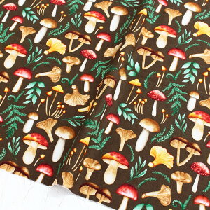 An n uEn LmRn Free Sprit t[Xsbg USAvg@(ŒP30cm`10cmPʂ̐ؔ)