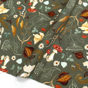 An n O[n̂A STELLA Xe TIMELESS USAvg (ŒP30cm`10cmPʂ̐ؔ)