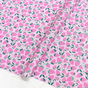 An n PKnsN STELLA Xe TIMELESS USAvg (ŒP30cm`10cmPʂ̐ؔ)