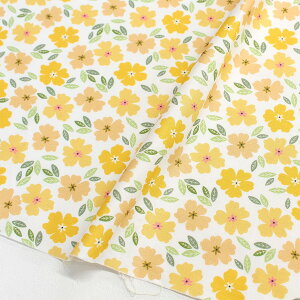 An n WHnCG[ԕ STELLA Xe TIMELESS USAvg (ŒP30cm`10cmPʂ̐ؔ)