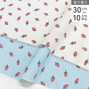 An n Ȃ STELLA Xe TIMELESS USAvg (ŒP30cm`10cmPʂ̐ؔ)