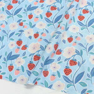 An n Fn STELLA Xe TIMELESS USAvg (ŒP30cm`10cmPʂ̐ؔ)