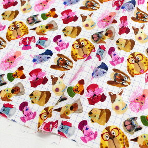 An n WHnKl STELLA Xe TIMELESS USAvg (ŒP30cm`10cmPʂ̐ؔ)