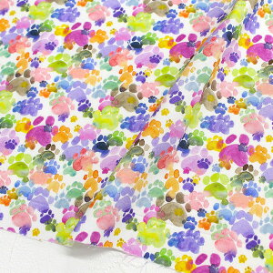 An n WHnJtʓ STELLA Xe TIMELESS USAvg (ŒP30cm`10cmPʂ̐ؔ)