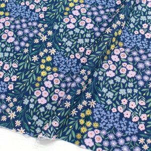 An n O[nJtԕ STELLA Xe TIMELESS USAvg (ŒP30cm`10cmPʂ̐ؔ)