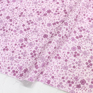 An n ԕ STELLA Xe TIMELESS USAvg (ŒP30cm`10cmPʂ̐ؔ)