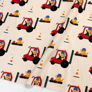 An n BEnHL STELLA Xe TIMELESS USAvg (ŒP30cm`10cmPʂ̐ؔ)