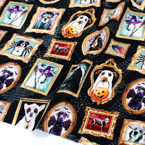 An n BKnnEBTimelessTreasures USAvg (ŒP30cm`10cmPʂ̐ؔ)