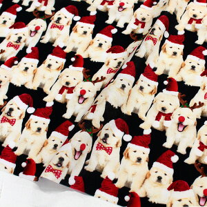 An n BKnT^TimelessTreasures USAvg (ŒP30cm`10cmPʂ̐ؔ)