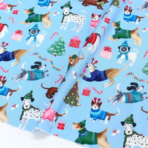 An n FnNX}XTimelessTreasures USAvg (ŒP30cm`10cmPʂ̐ؔ)