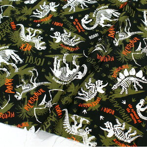 An n O[nTimelessTreasures USAvg (ŒP30cm`10cmPʂ̐ؔ)