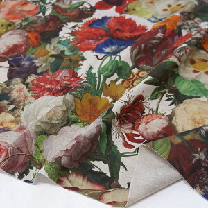 An XyCA IbNXfW^vg n {^jJ ȖCNWFbgIbNX n 140cm (50cm`10cmPʂ̐؂蔄)