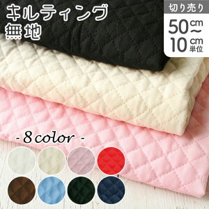 LeBO n J[n (ŒP50cm10cmPʂ̐؂蔄)