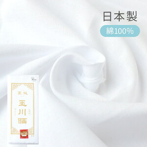炵 100 n N 34×10m
