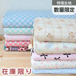 n n vgn [n W[Yn ԕ N} t[ ꐶn  (1mPʂ̐؂蔄)