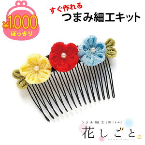 1000~|bL  | 䂤pPbg ܂ݍ׍H Lbg Ԃ2 R[