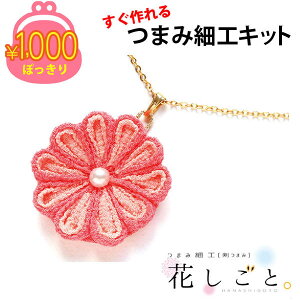 1000~|bL  䂤pPbg Piw ܂ݍ׍H Lbg Ԃ6 lbNX`F[