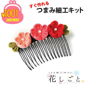 1000~|bL  | 䂤pPbg ܂ݍ׍HLbg Ԃ 11 ~̃wAR[