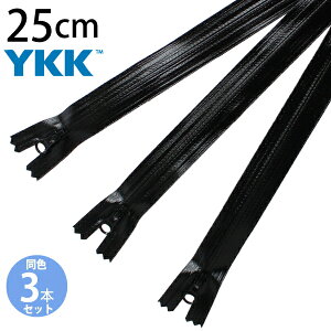YKK ~t@Xi[ 25cm 3{ ubN 3CFT25-580