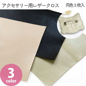 ANZT[pU[NX F5 r[Yhイ ANZT[y