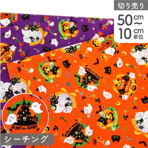 nEB vgn ΂ƃLfB Halloween H G (ŒP50cm`10cmPʂ̐ؔ)