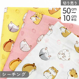 n RbgV[`O Aj}vg nX^[ (ŒP50cm`10cmPʂ̐ؔ)