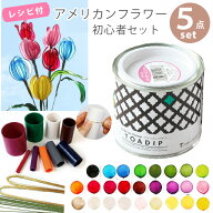 アメリカンフラワー 5点セット レシピ付 ディップ液 ワイヤー ゲージパイプ DIP-GPIPE DIP160 フラワーア…