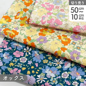 ԕ GKgIbNX vgn Ж110cm (ŒP50cm`10cmPʂ̐؂蔄)