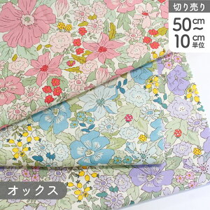 ԕ GKgIbNX vgn Ж110cm (ŒP50cm`10cmPʂ̐؂蔄)